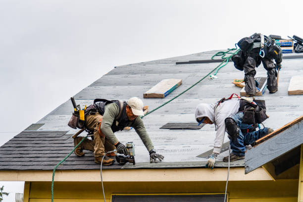 Professional Flat Roof Repair technician working in Spring Valley, WI